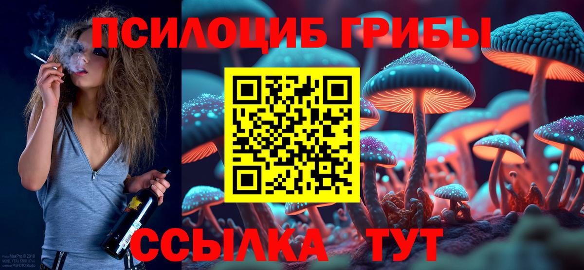 Галлюциногенные грибы мицелий Чехов