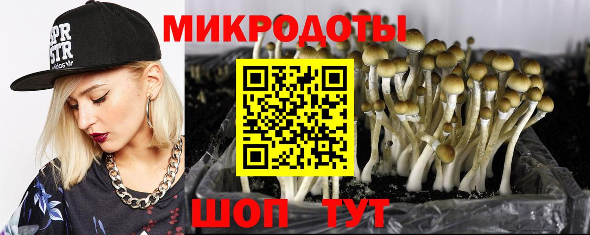Псилоцибиновые грибы MAGIC MUSHROOMS  Вход с VPN  Чехов 